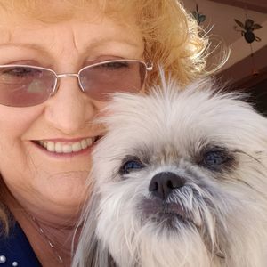 Meet your Posher, Donna